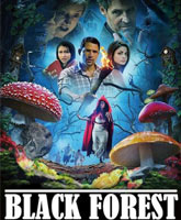 Black Forest /  